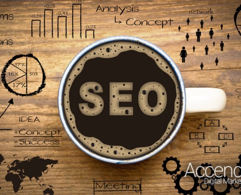 O que é seo